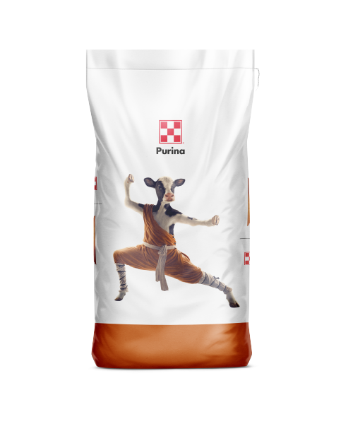 Purinalat ImmuniTek